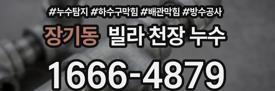 장기동 빌라 천장 누수