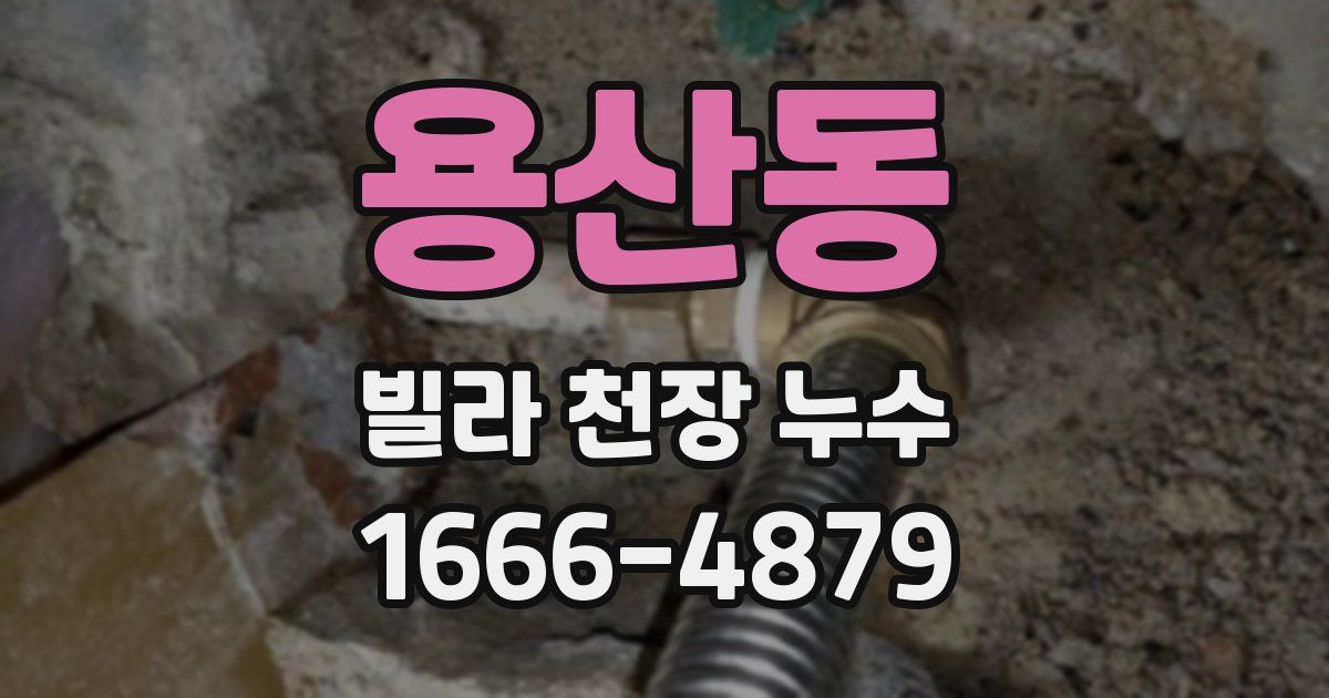용산동 빌라 천장 누수