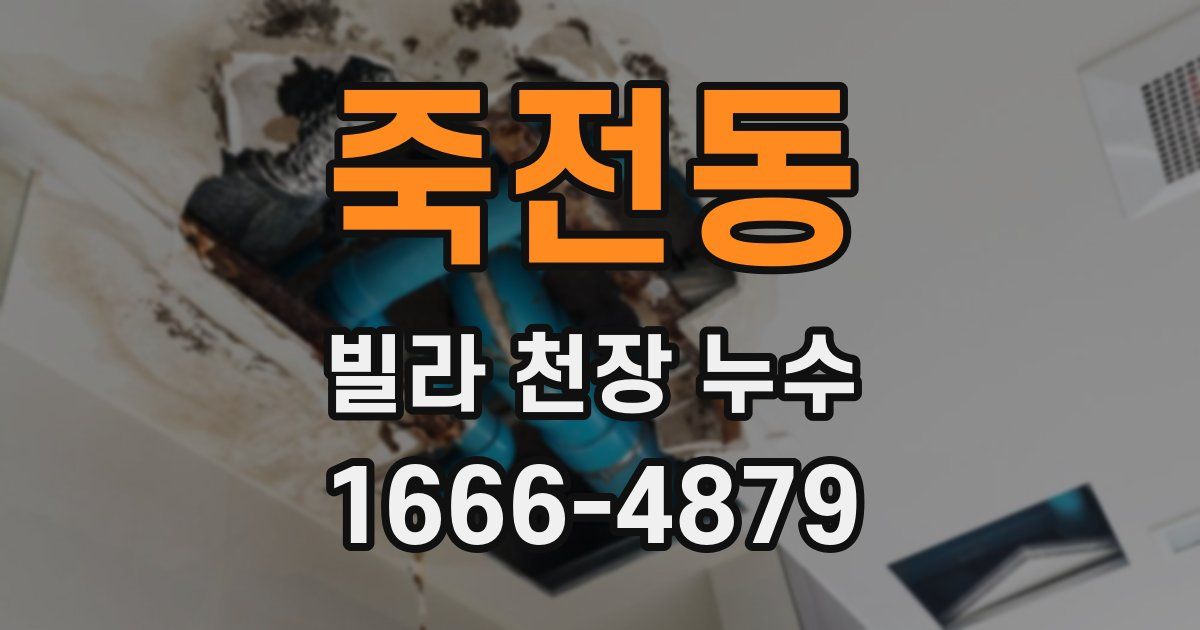 죽전동 빌라 천장 누수