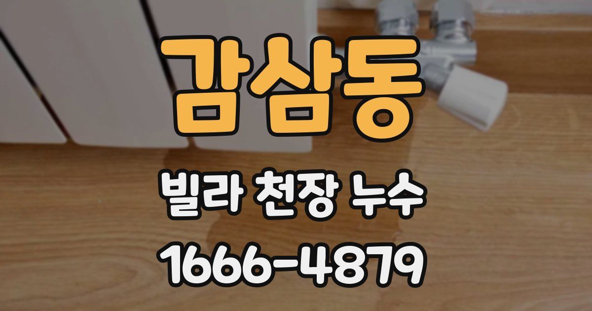 감삼동 빌라 천장 누수