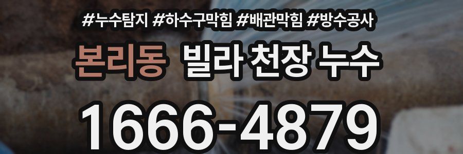 본리동 빌라 천장 누수