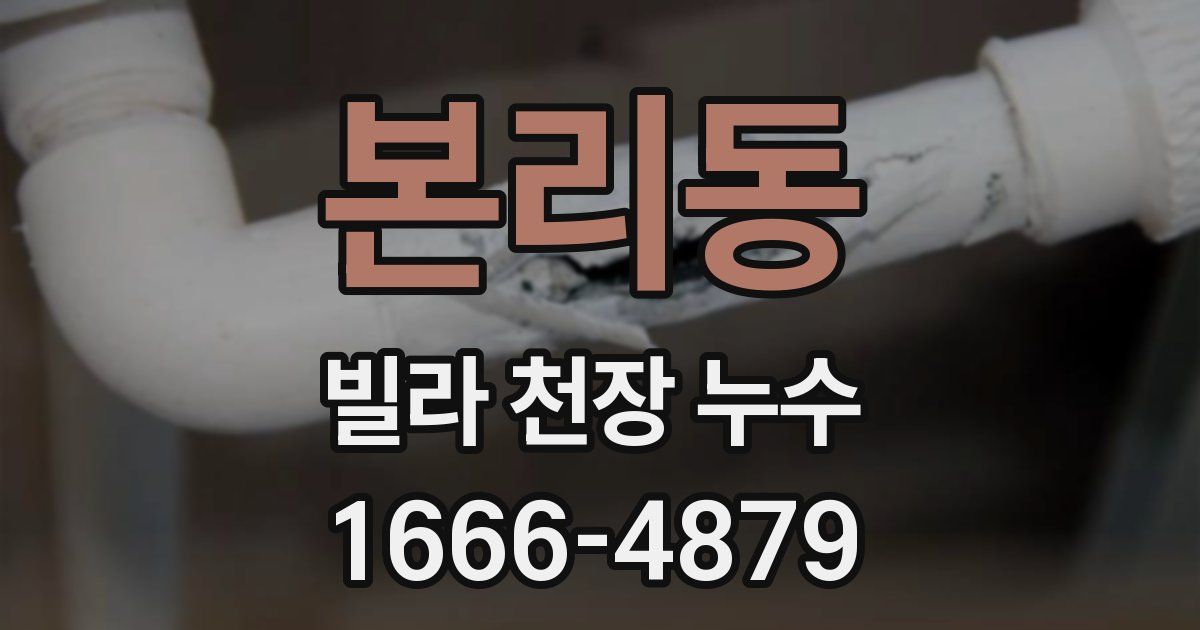 본리동 빌라 천장 누수