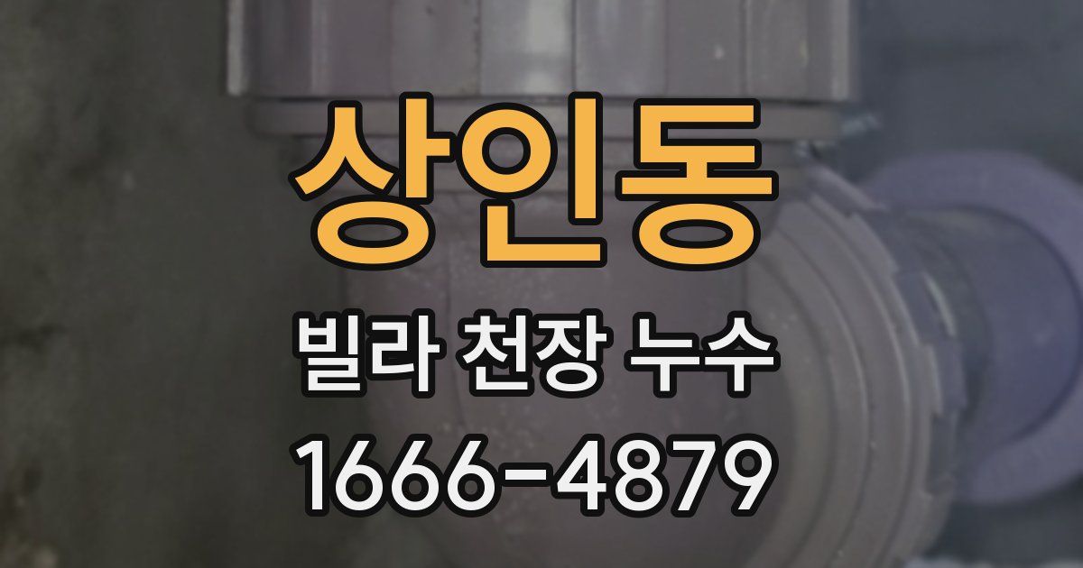 상인동 빌라 천장 누수