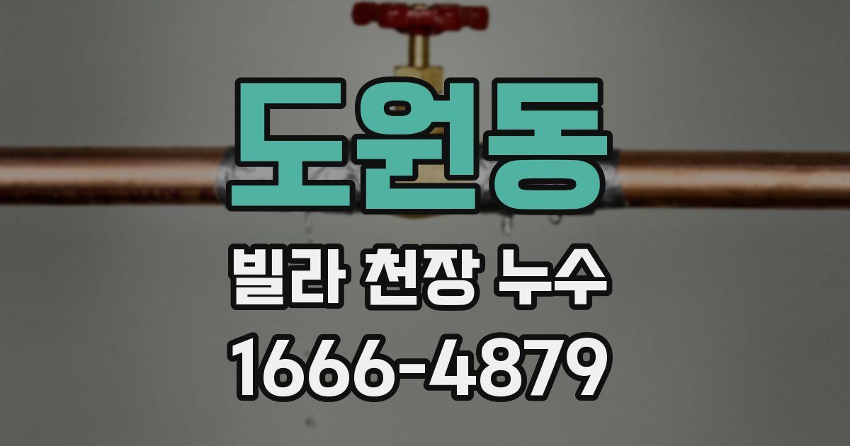 도원동 빌라 천장 누수