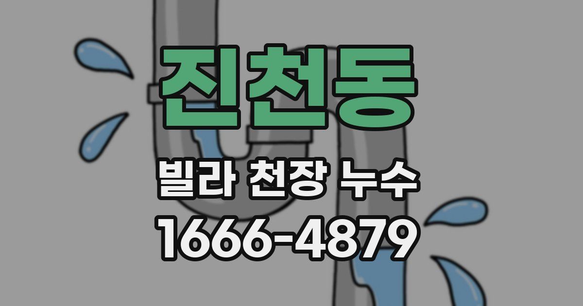 진천동 빌라 천장 누수