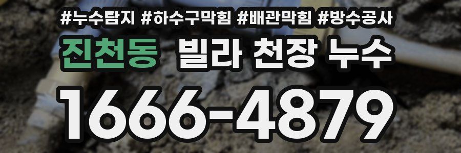 진천동 빌라 천장 누수