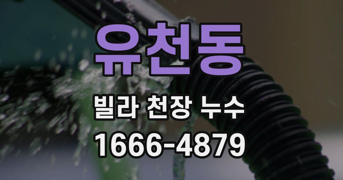 유천동 빌라 천장 누수