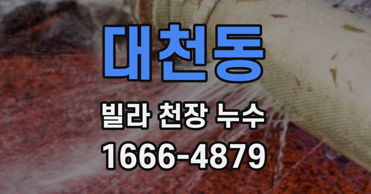 대천동 빌라 천장 누수