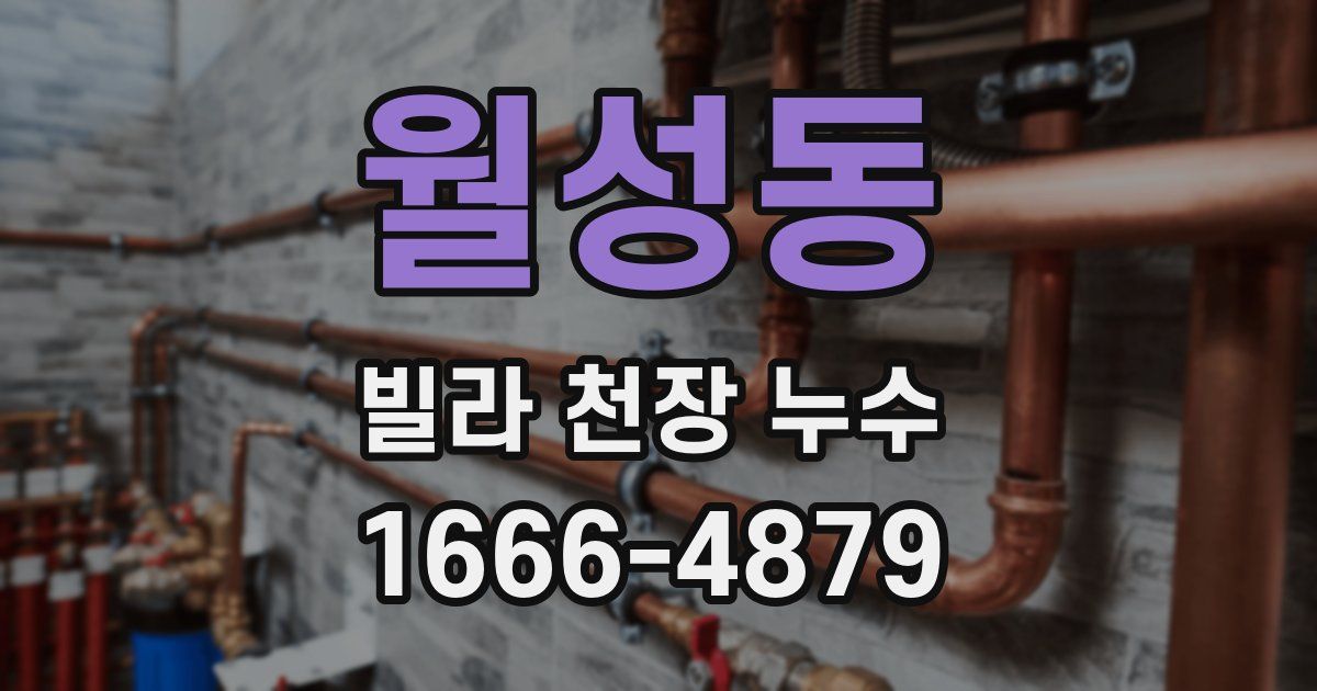 월성동 빌라 천장 누수