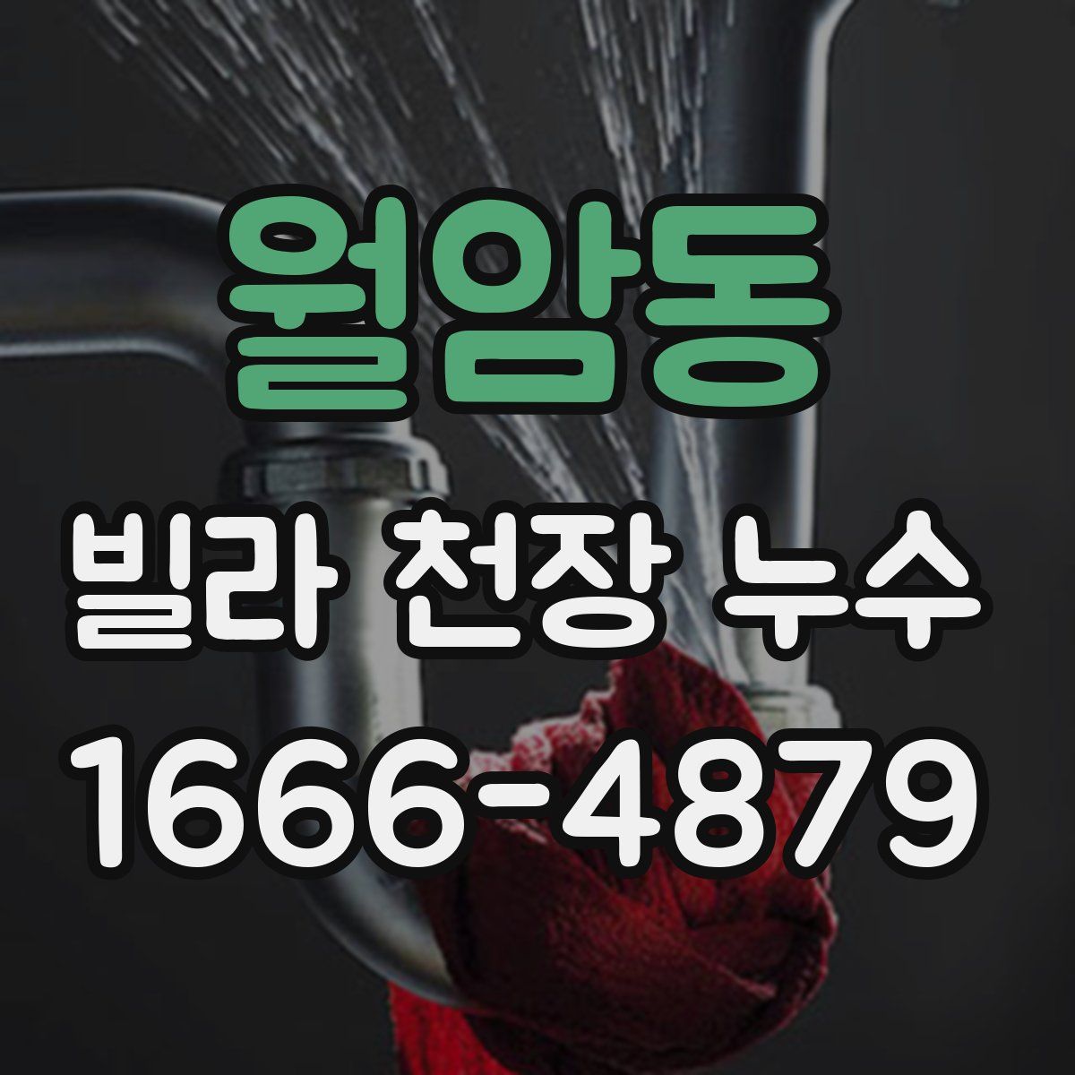 월암동 빌라 천장 누수