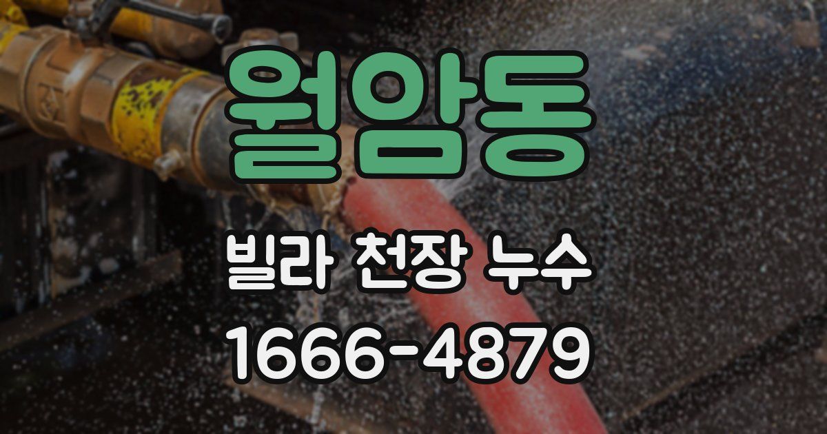 월암동 빌라 천장 누수