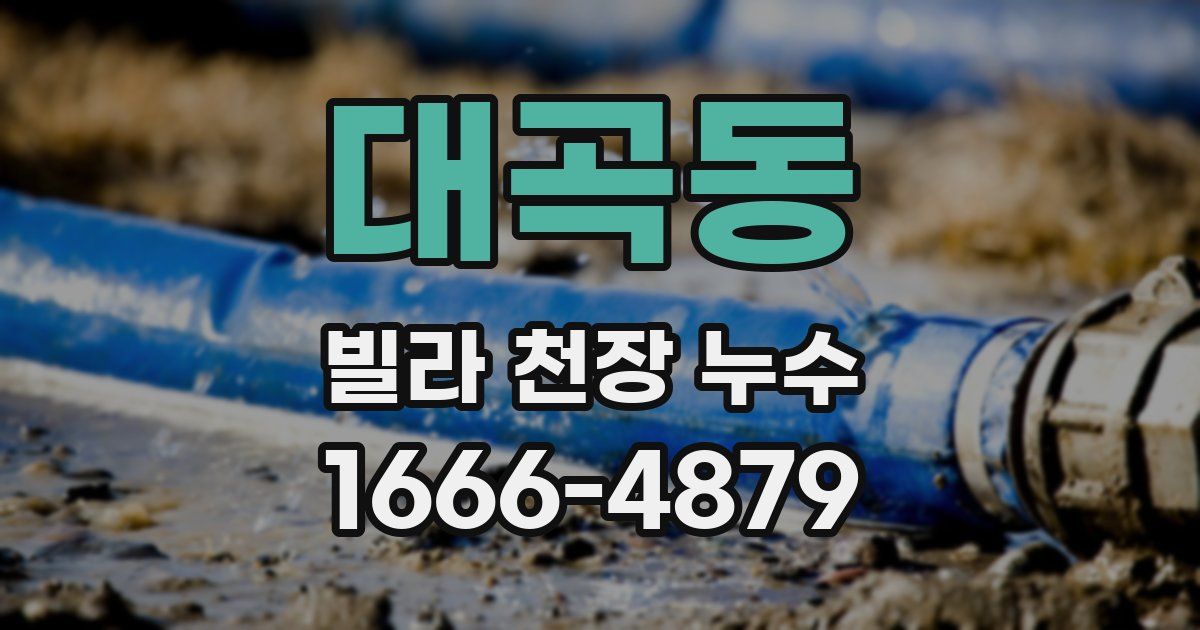 대곡동 빌라 천장 누수