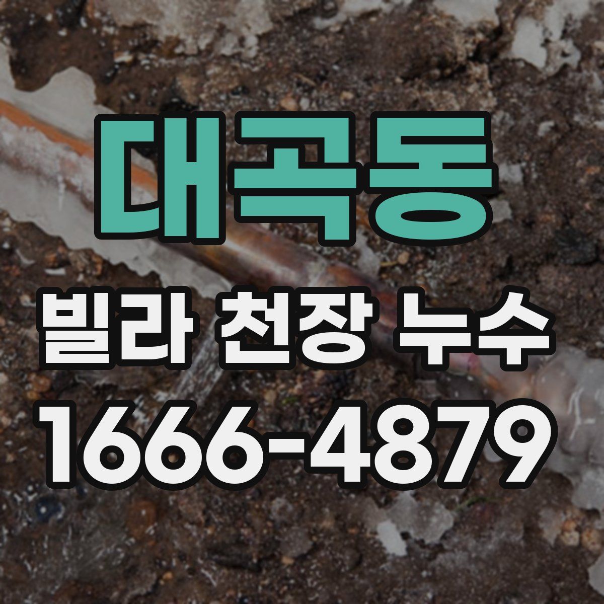 대곡동 빌라 천장 누수