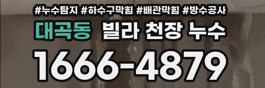 대곡동 빌라 천장 누수