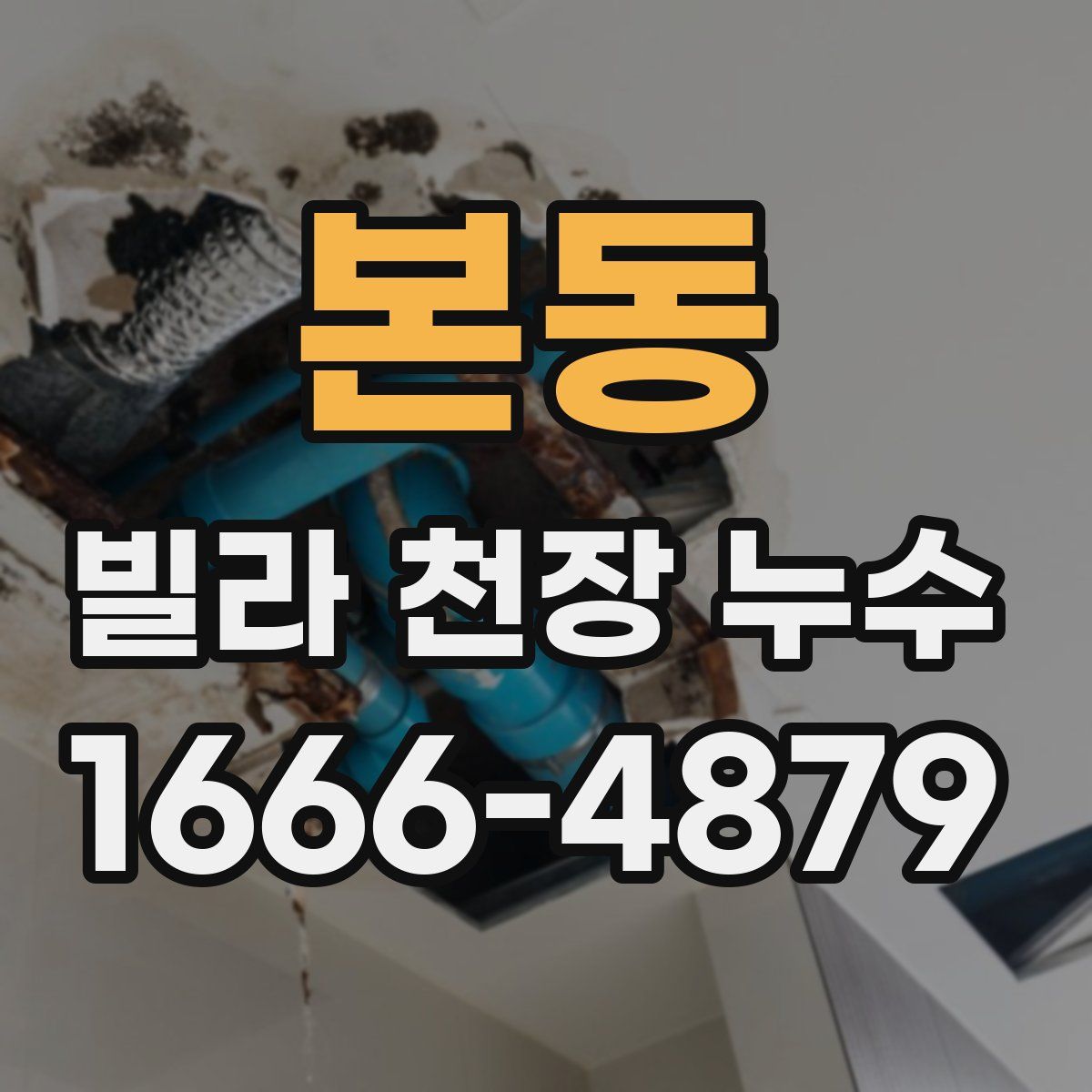 본동 빌라 천장 누수
