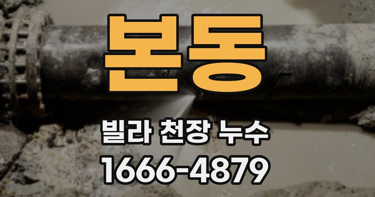 본동 빌라 천장 누수