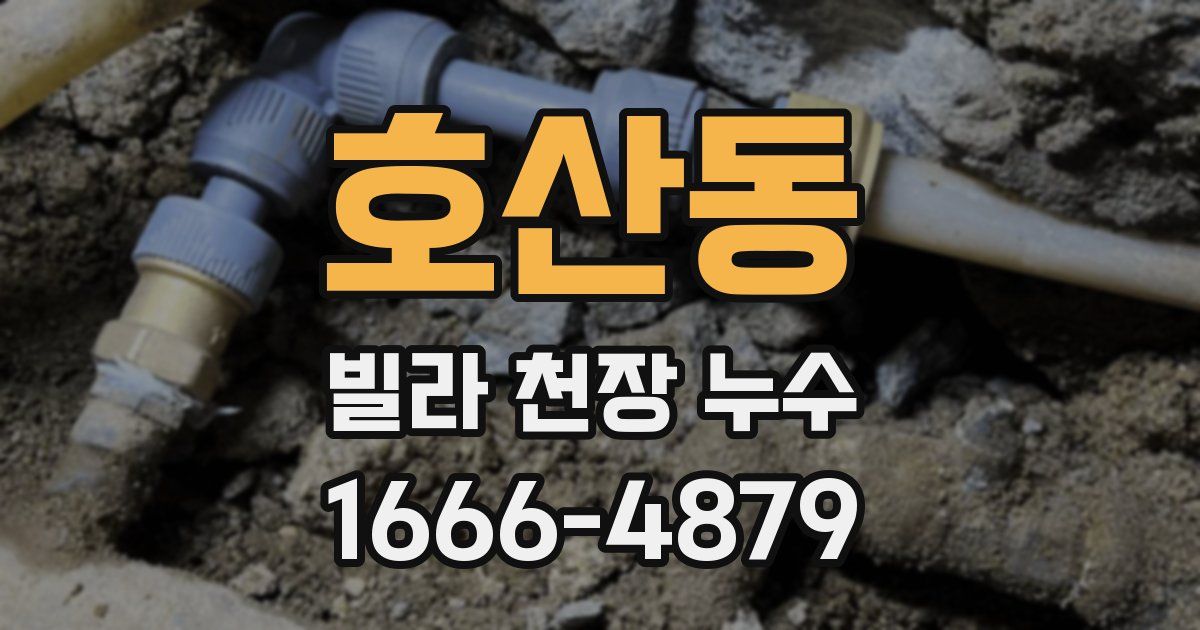 호산동 빌라 천장 누수