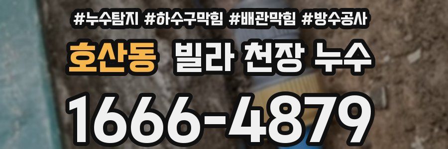 호산동 빌라 천장 누수