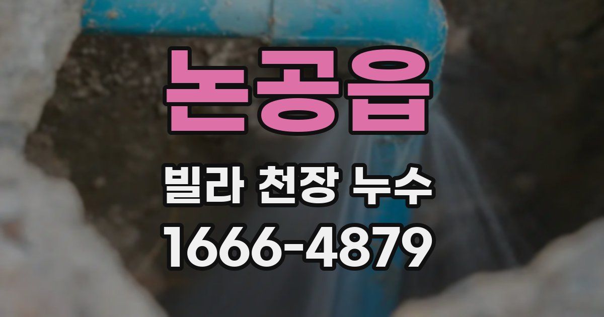 논공읍 빌라 천장 누수