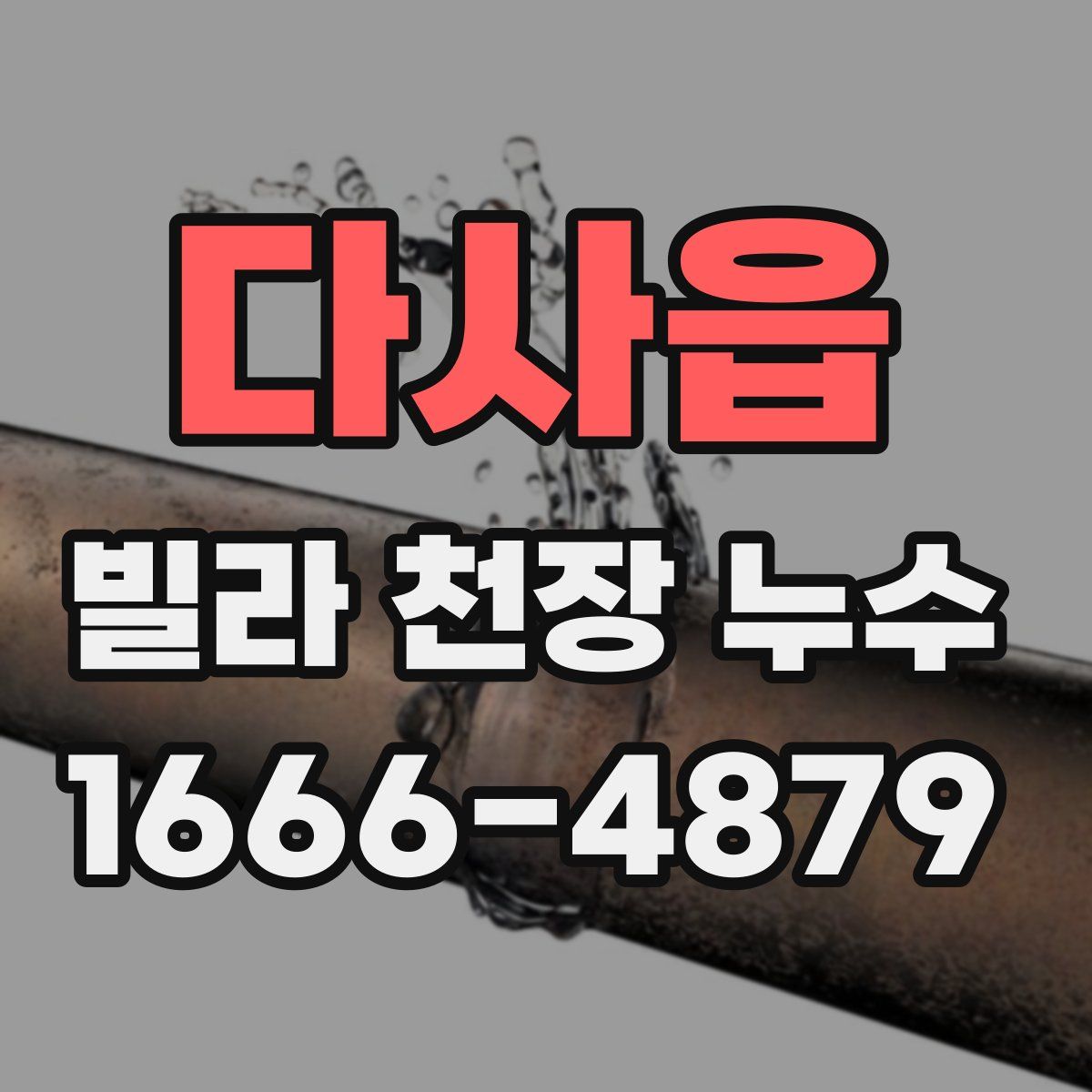다사읍 빌라 천장 누수