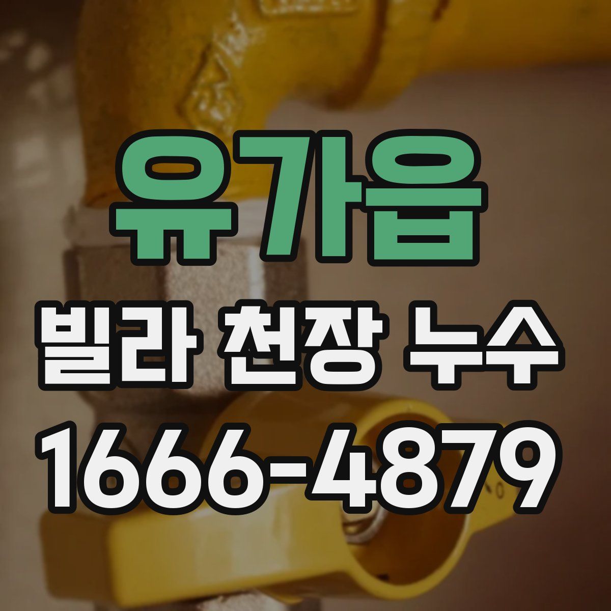 유가읍 빌라 천장 누수