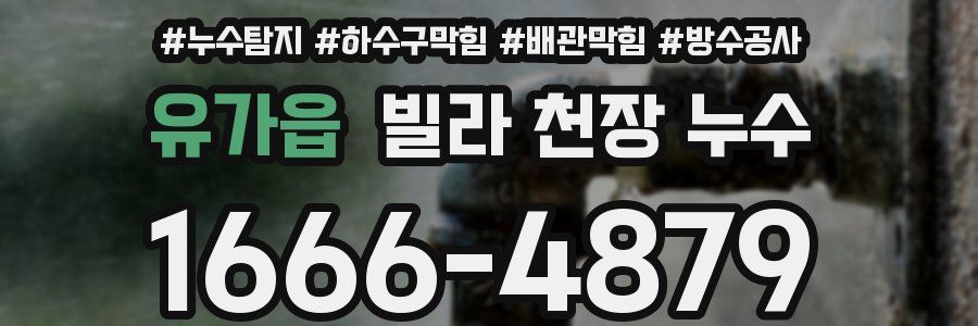 유가읍 빌라 천장 누수