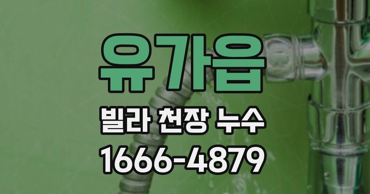 유가읍 빌라 천장 누수