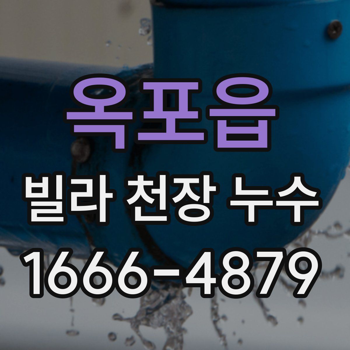 옥포읍 빌라 천장 누수
