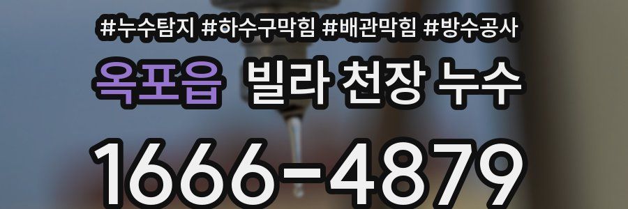 옥포읍 빌라 천장 누수