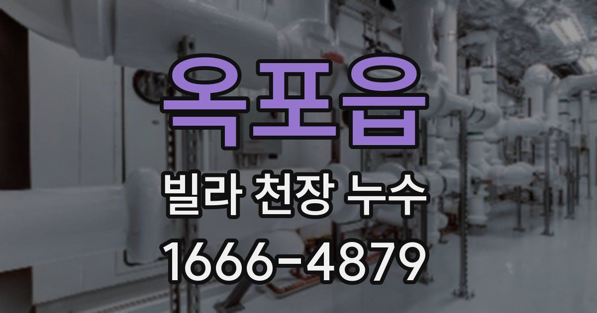 옥포읍 빌라 천장 누수