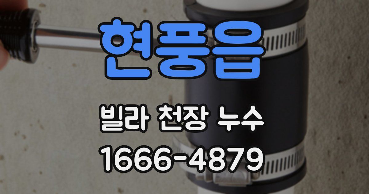 현풍읍 빌라 천장 누수