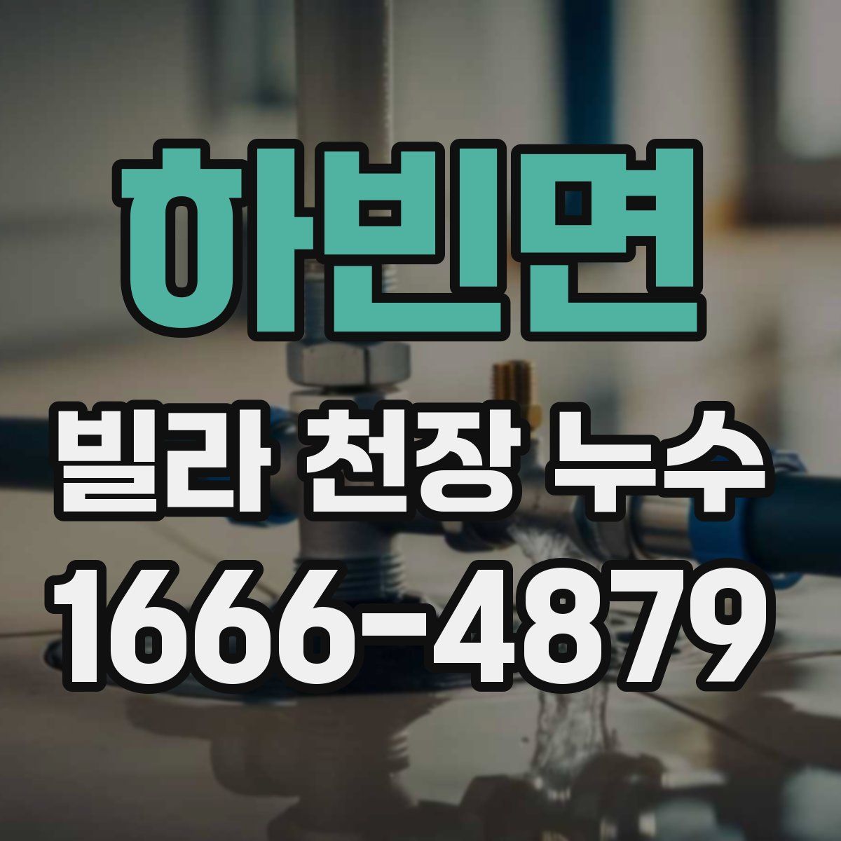 하빈면 빌라 천장 누수
