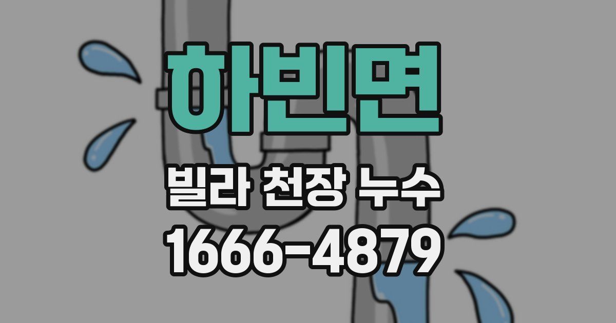 하빈면 빌라 천장 누수