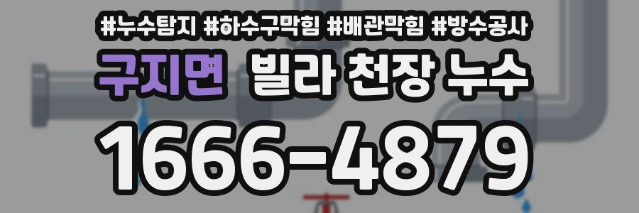 구지면 빌라 천장 누수