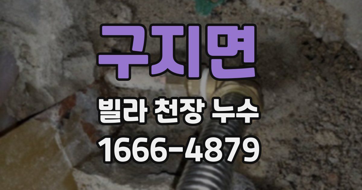 구지면 빌라 천장 누수