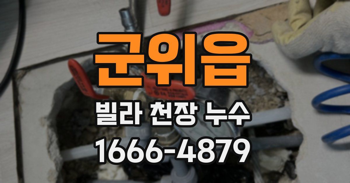 군위읍 빌라 천장 누수