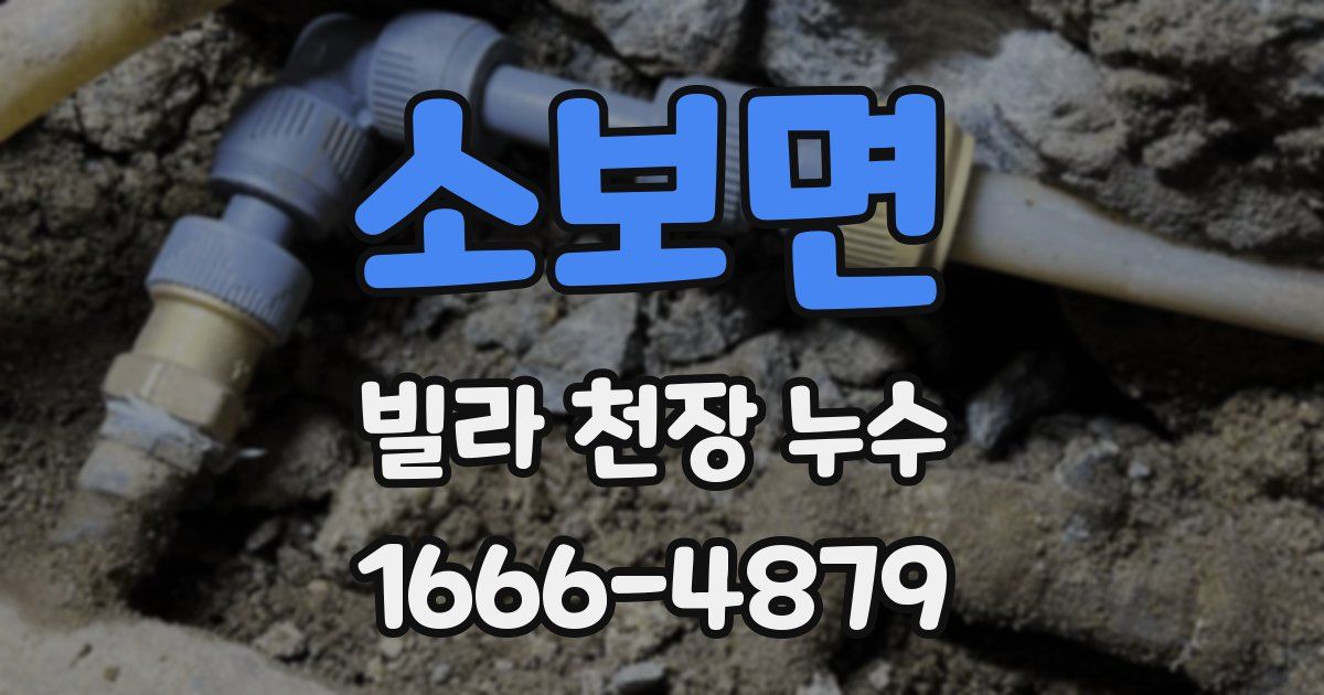 소보면 빌라 천장 누수