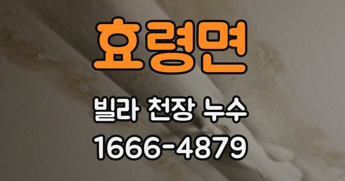 효령면 빌라 천장 누수