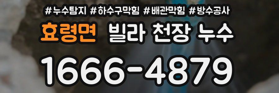 효령면 빌라 천장 누수
