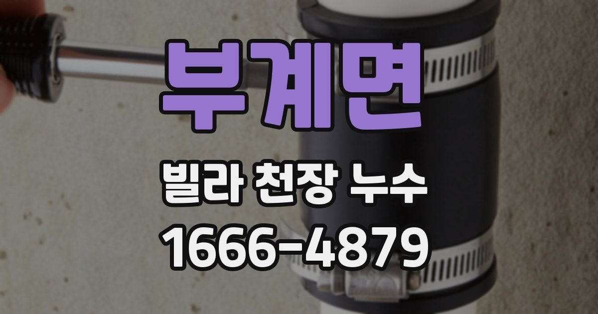 부계면 빌라 천장 누수