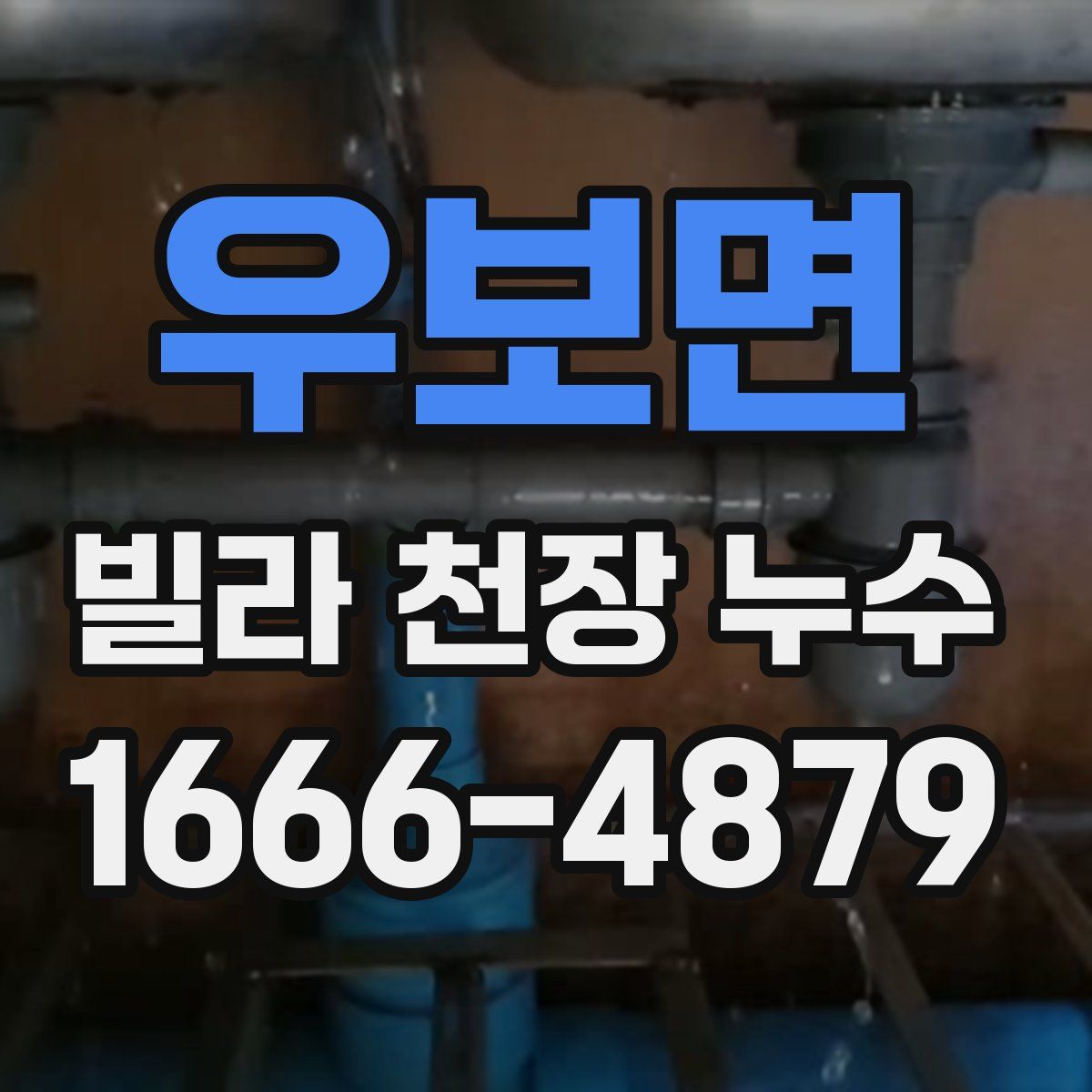 우보면 빌라 천장 누수