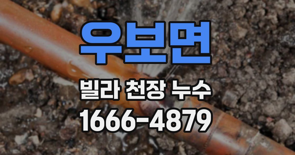 우보면 빌라 천장 누수