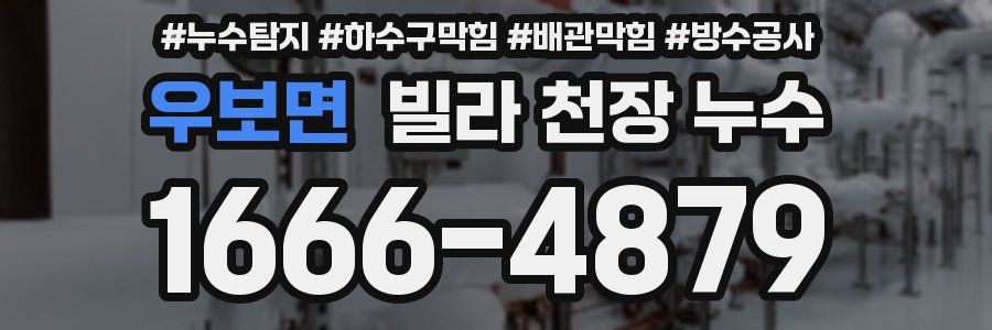 우보면 빌라 천장 누수