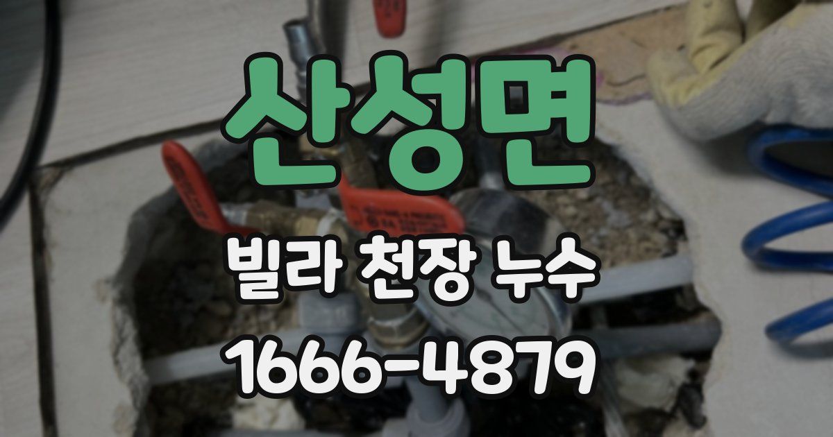 산성면 빌라 천장 누수