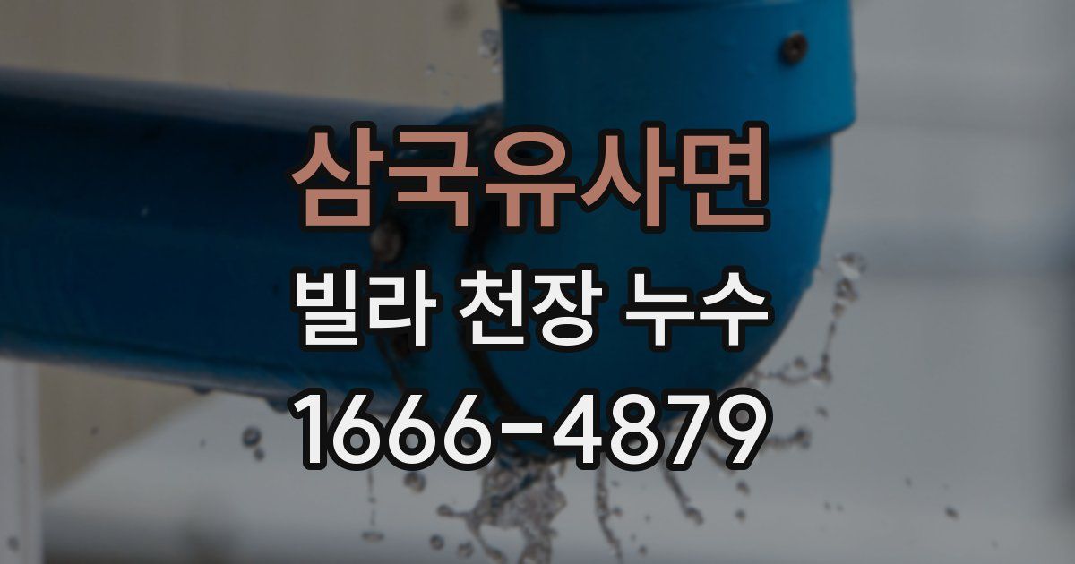 삼국유사면 빌라 천장 누수