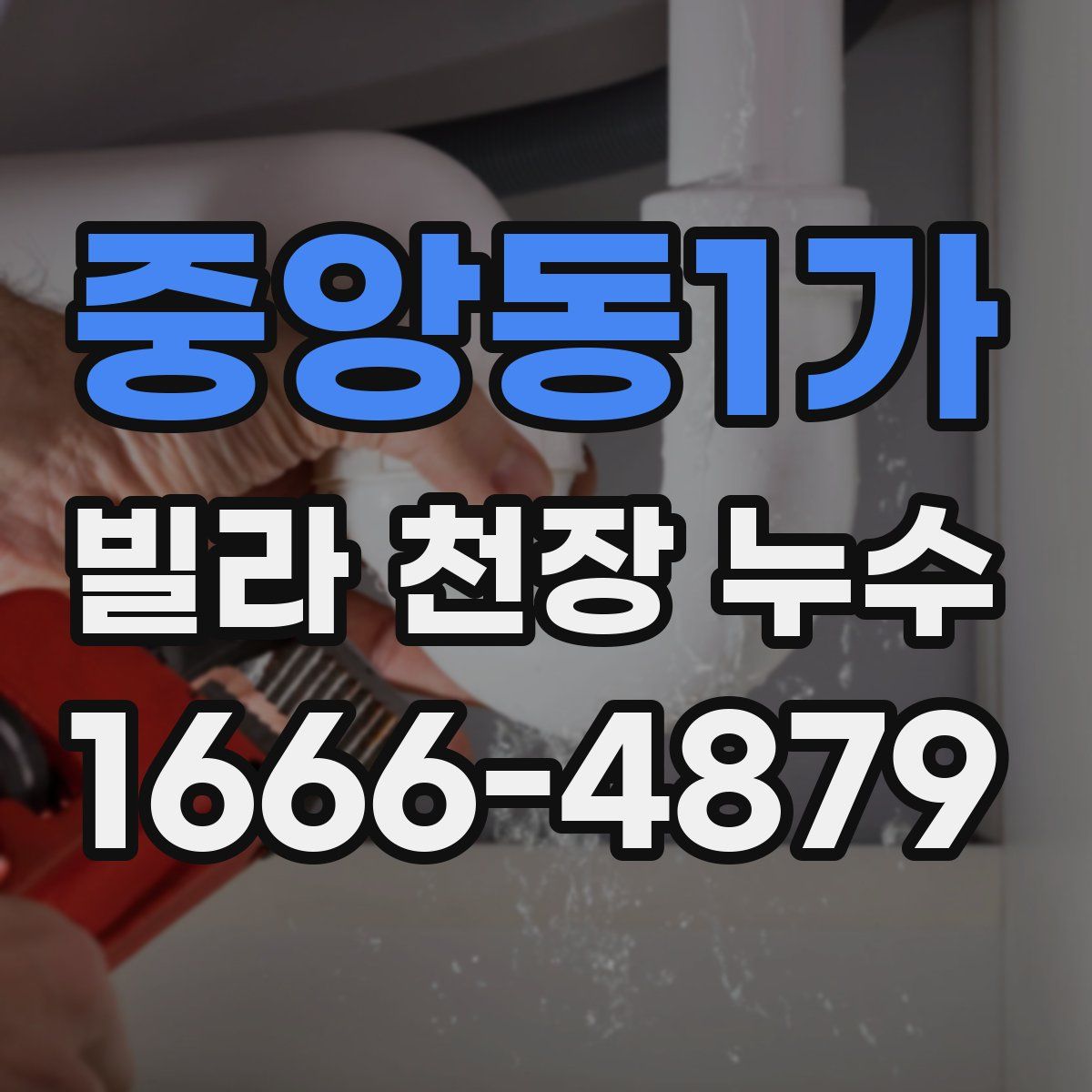 중앙동1가 빌라 천장 누수