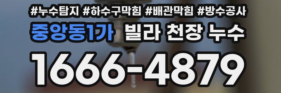 중앙동1가 빌라 천장 누수