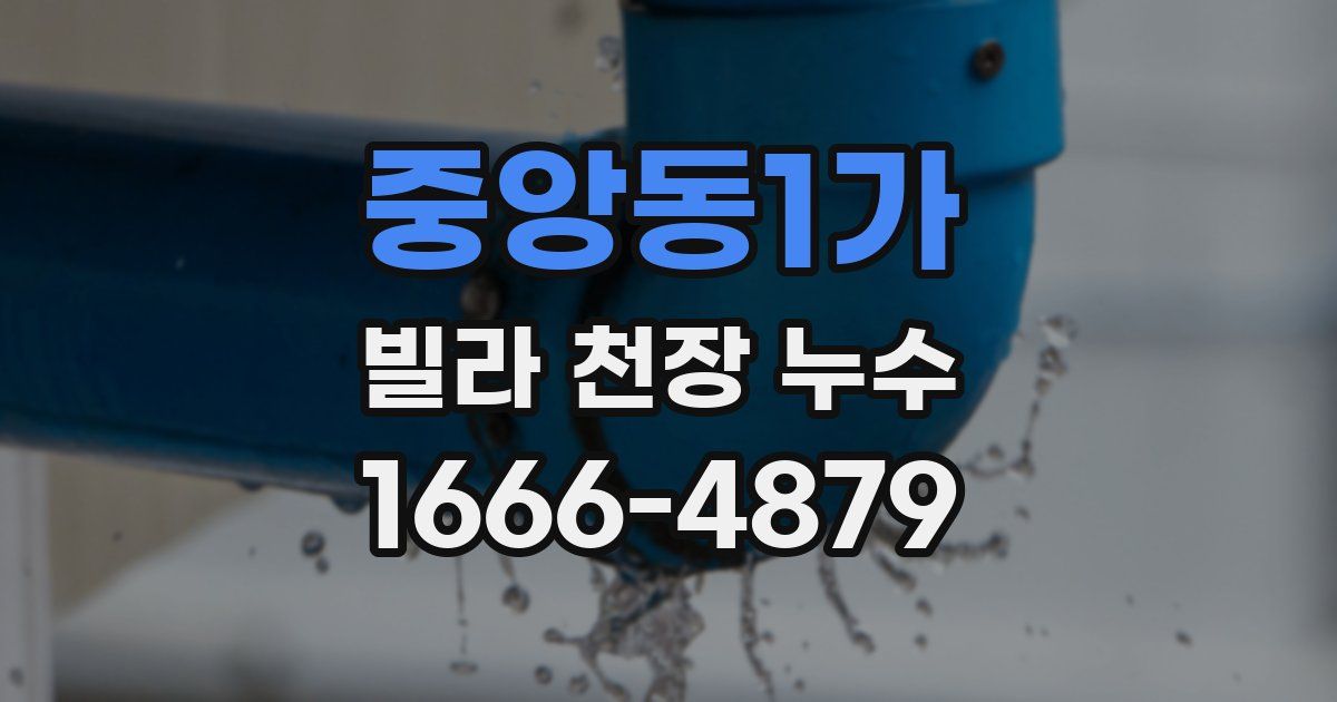 중앙동1가 빌라 천장 누수