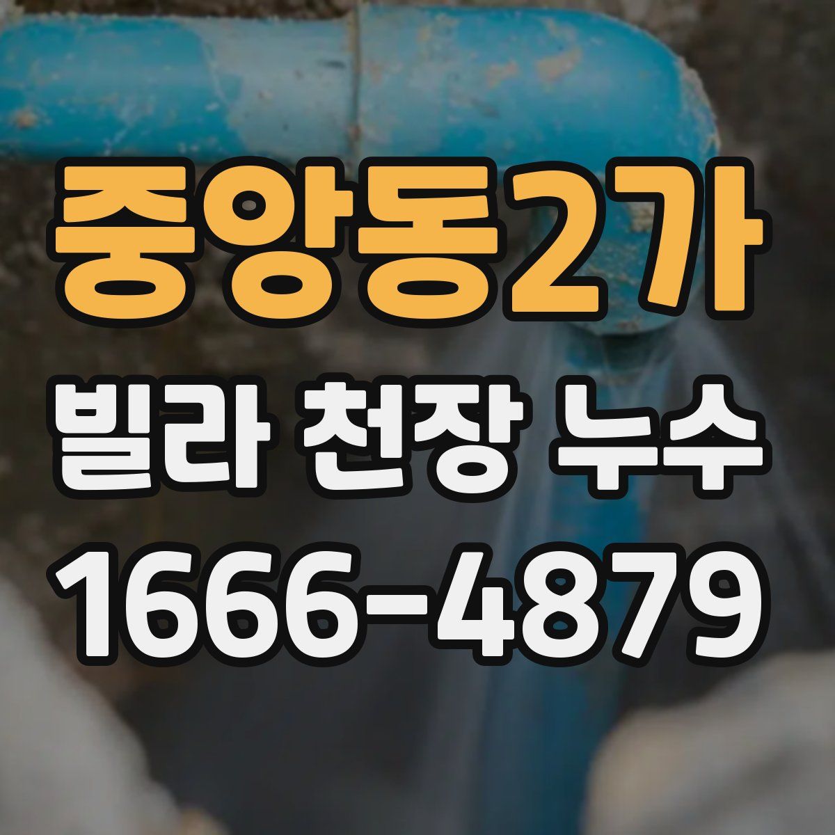 중앙동2가 빌라 천장 누수