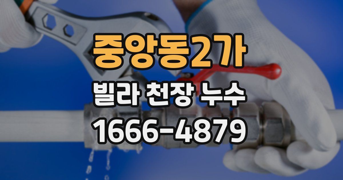 중앙동2가 빌라 천장 누수